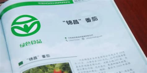 漯河碧桂园品牌发布会 - 河南嘉之悦文化传媒