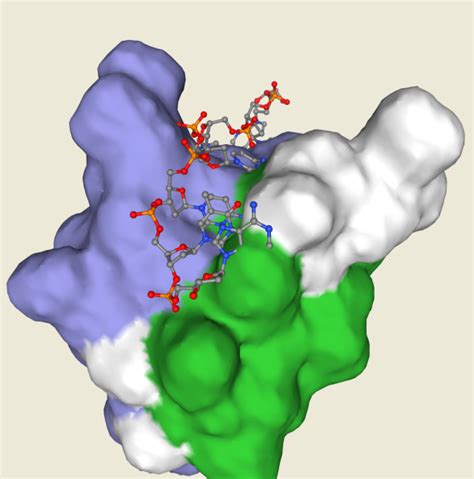 蛋白组和互作蛋白组分子基础| Aimsmass-上海胡珀生物科技有限公司