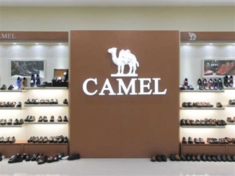 西域骆驼logo设计含义及休闲鞋品牌标志设计理念-三文品牌