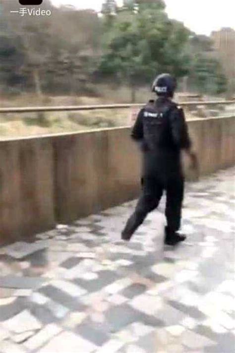 宁波老虎咬人事件最新视频，实拍警察击毙老虎