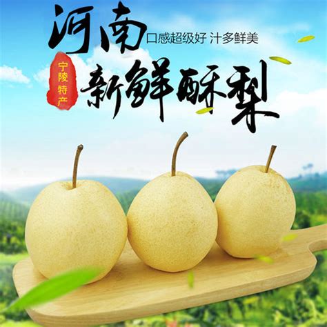 [酥梨批发] 宁陵特选酥梨价格5.7元/斤 - 惠农网
