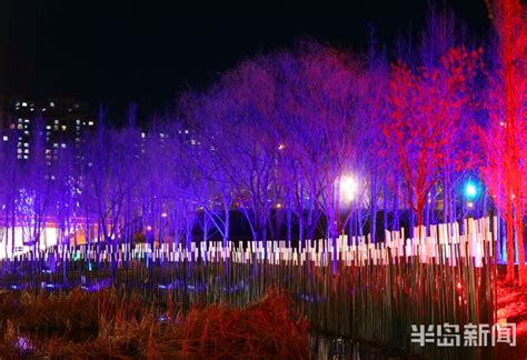 青岛李村河生态公园如梦如幻的绚丽夜景 吸引市民前来散步赏景-半岛网