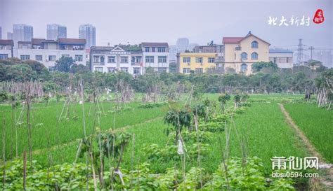 莆田：追“新”逐“绿” 奋力建设绿色高质量发展先行市
