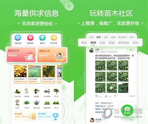 苗木花卉筑起肥西县产业升级绿色风景线 - 新闻热点 - 安企在线-中国企业网