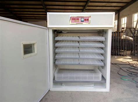 孵化机|孵化设备-德州市德城区兴邦孵化设备销售部