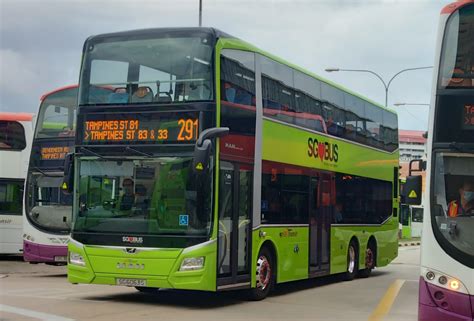 London Buses route 291 | Bus Routes in London Wiki | Fandom