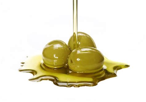 【橄榄油】的功效与作用_营养价值_药用价值和吃法_米面豆类_绿茶说