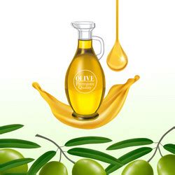 Olive oil glass bottle design Royalty Free Vector Image