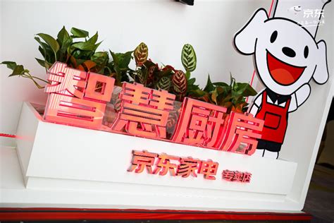中国家电品牌加码高端化出海 海信首提全球开店“小目标” | 每经网