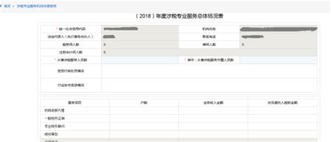 湖北省电子税务局涉税专业服务机构专项报告操作说明