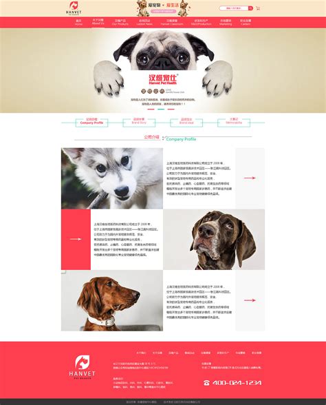 宠物网站|网页|企业官网|G晓凡 - 原创作品 - 站酷 (ZCOOL)