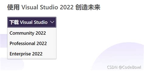Visual Studio 2022 正式版下载教程_vs2022官网地址-CSDN博客