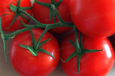 绿色健康的有机西红柿、新鲜美味的红蕃茄_站酷海洛_正版图片_视频_字体_音乐素材交易平台_站酷旗下品牌