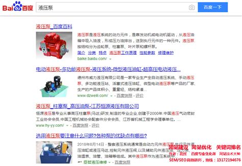 网站优化关键词‘液压泵’做到百度首页，seo网站优化案例