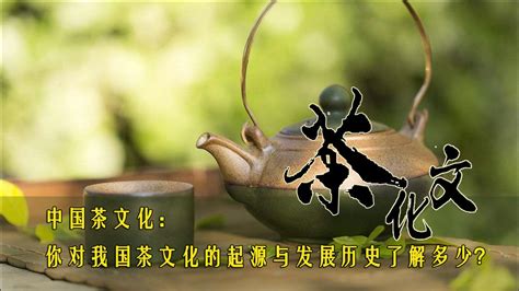 中国茶文化的形成简史-饮茶文化-山西药茶网-茶的味道，药的功效