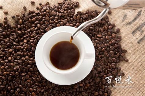 谁是青铜，谁是王者一测便知！深圳人最喜爱的咖啡品牌测评来了_深圳新闻网