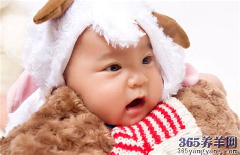2015年羊年几月出生的宝宝好？_365养羊网