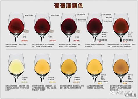 2016年中国葡萄酒数据分析报告出炉|数据| 葡萄酒_凤凰酒业