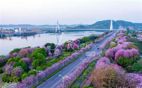 广西柳州：工业之城生态美-人民图片网