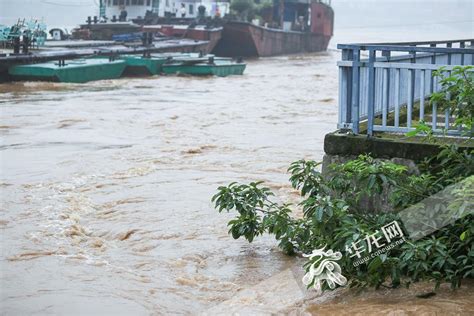 有水文记录以来最大洪水昨天过境 重庆綦江洪水现已显著回落_新闻频道_中国青年网