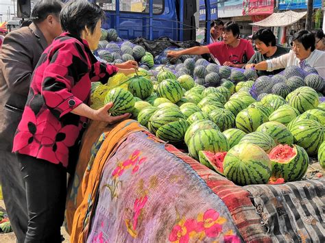 国庆节小长假，农村男子卖西瓜，每天卖出1300斤，能赚多少钱？|西瓜|大哥|长假_新浪新闻
