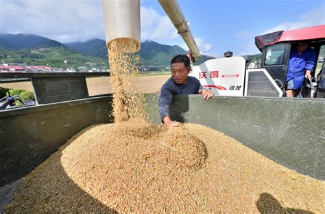 麦收季遇近10年最严重“烂场雨”天气，河南8500万亩小麦仅收近5%_凤凰网