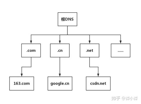 一张图看懂DNS域名解析全过程 - 知乎