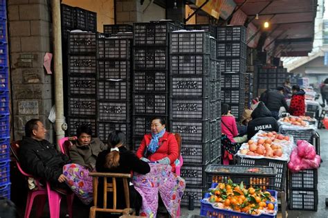 长沙红星全球农批中心海鲜水产批发市场投用 - 资讯 - 新湖南