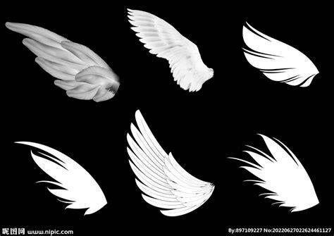 翅膀设计图__广告设计_广告设计_设计图库_昵图网nipic.com