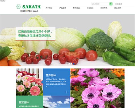坂田公司的网站设计(坂田公司的网站设计怎么样)_V优客