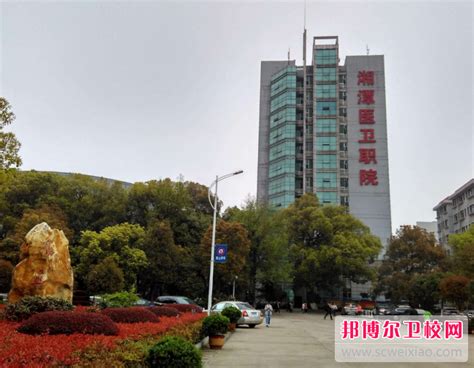 湘潭医卫职业技术学院就业网