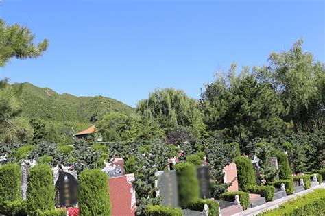 天津天福陵园 - 在售墓型-名兴五区