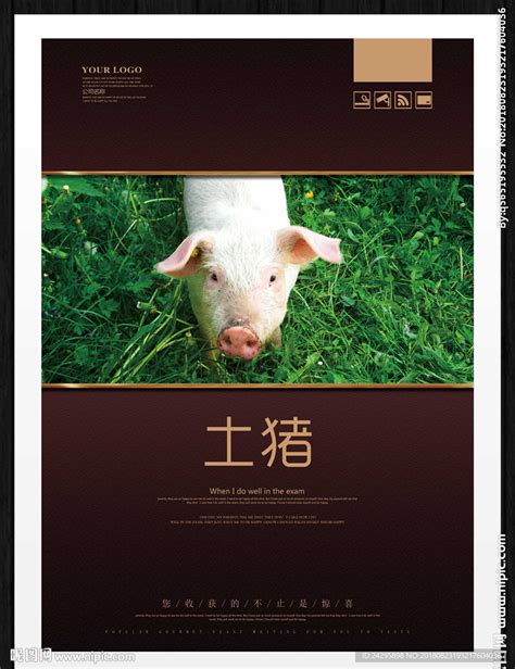 土猪设计图__海报设计_广告设计_设计图库_昵图网nipic.com