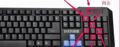 键盘打不了字按哪个键恢复_键盘不能用该怎么办 - 工作号