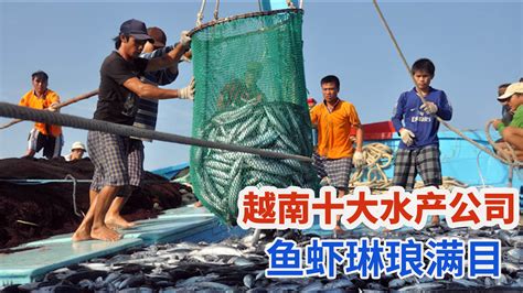 越南十大渔业水产公司，巴沙鱼黑虎虾海鲜琳琅满目_凤凰网视频_凤凰网