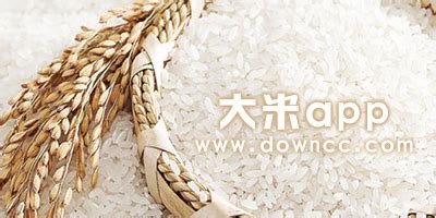 进口大米 Rice_进口供应/Product_越南大米加工厂家供应商出口商经销商贸易公司