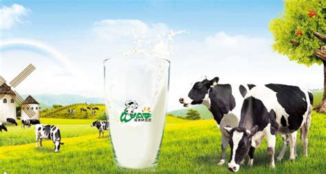 绿澳鲜奶吧_绿澳鲜奶吧加盟_绿澳鲜奶吧加盟费多少钱-佳鑫牧业发展有限公司－项目网