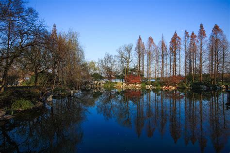 杭州西湖湖西区域规划_项目_多义景观