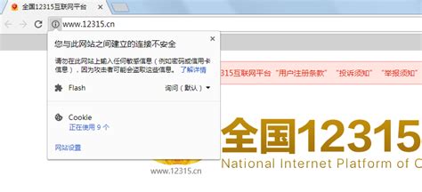 谷歌浏览器提示：您要访问的网站包含恶意软件（解决方案）_sunsijia21983的博客-CSDN博客