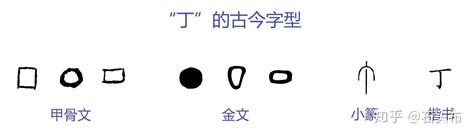 正本清源释 “中国”— 4 ：兼释几个重要汉字的字形起源（上） - 知乎
