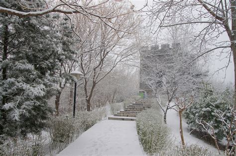 长沙的第一场雪来啦！从暖冬到下雪只用了5天时间 - 三湘万象 - 湖南在线 - 华声在线