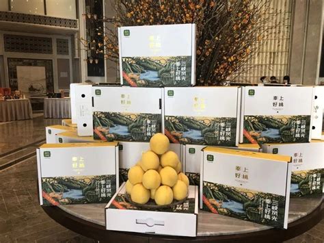 奉节脐橙专家服务团赴奉节指导柑橘生产 - 重庆农业技术推广信息网