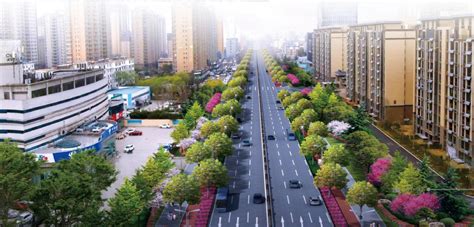 莱芜区市政道路景观提升改造项目-济南城投设计有限公司