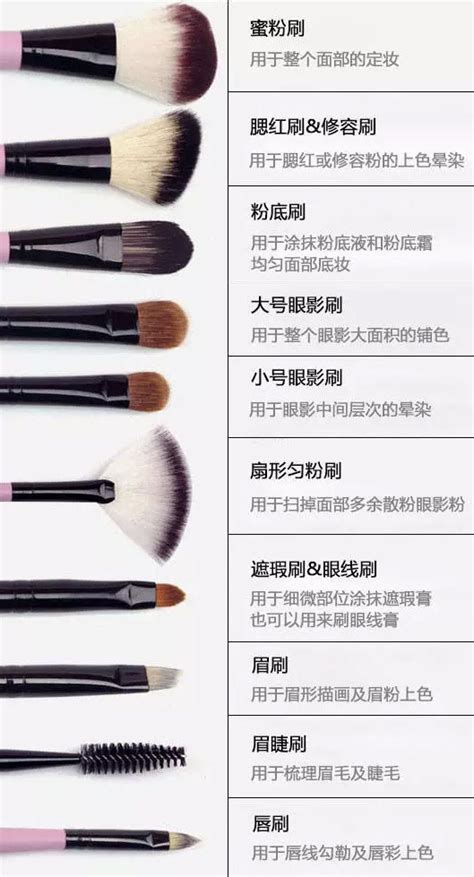 化妆刷的介绍与使用，雅香丽化妆刷名称大全-行业资讯-雅香丽化妆用品（深圳）有限公司