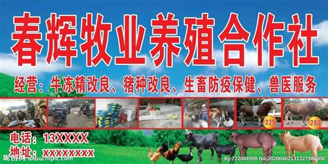 伽师县红土地畜牧养殖合作社带领群众富起来