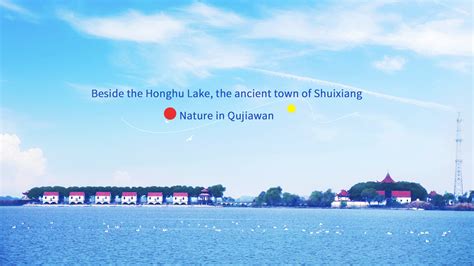 洪湖生态旅游风景区官方网站