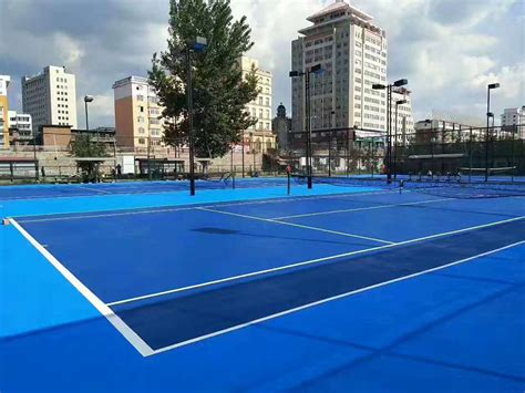 pvc运动地板 篮球羽毛球场 安全户外pvc运动塑胶地_杭州赛鸿体育设施工程有限公司
