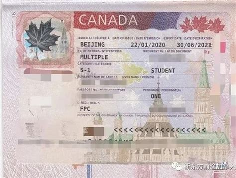 经常有同学和家长问：加拿大大签和小签是什么？签证到期怎么 ...
