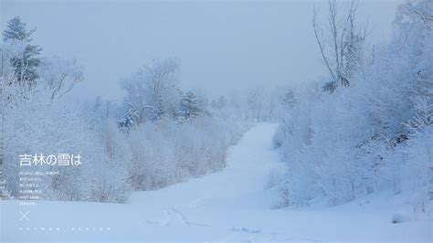 【2012年北京第一场雪摄影图片】北京纪实摄影_大华_太平洋电脑网摄影部落