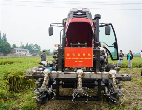 现代农业装备研究院赴彭州市举办川芎收获机械化试验示范暨培训会